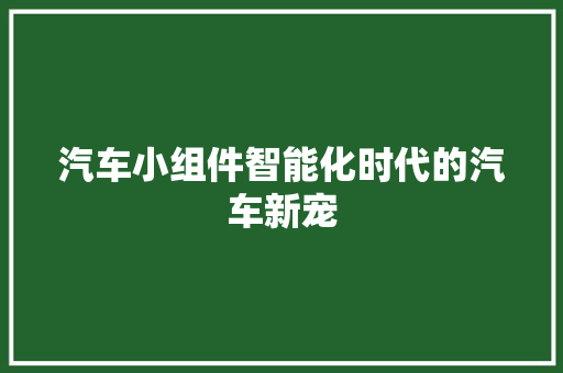 汽车小组件智能化时代的汽车新宠