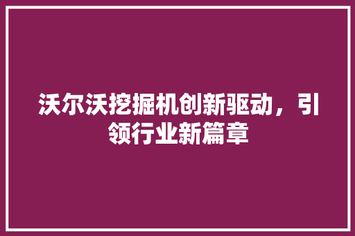 沃尔沃挖掘机创新驱动，引领行业新篇章
