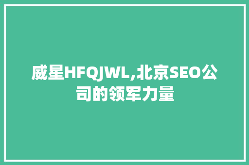 威星HFQJWL,北京SEO公司的领军力量