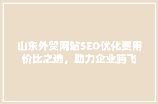 山东外贸网站SEO优化费用价比之选，助力企业腾飞