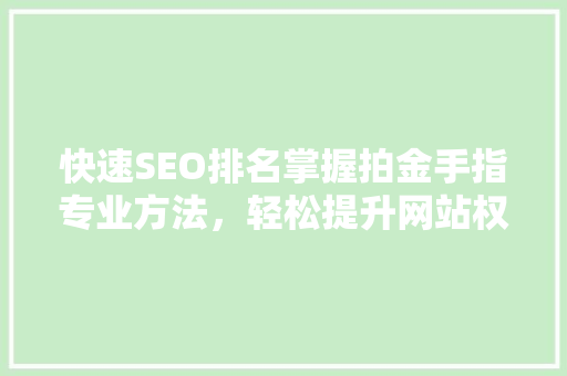 快速SEO排名掌握拍金手指专业方法，轻松提升网站权重