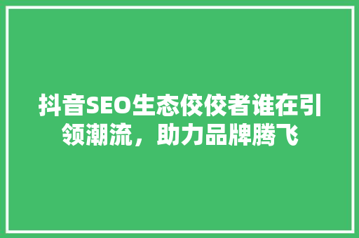 抖音SEO生态佼佼者谁在引领潮流，助力品牌腾飞