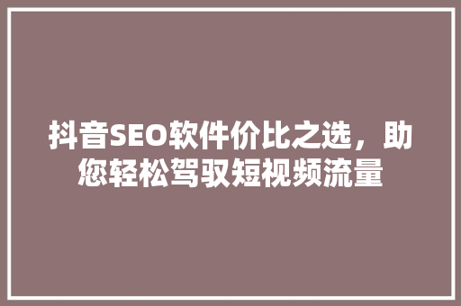 抖音SEO软件价比之选，助您轻松驾驭短视频流量