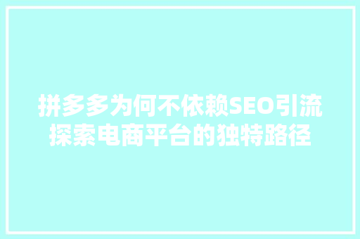 拼多多为何不依赖SEO引流探索电商平台的独特路径  第1张