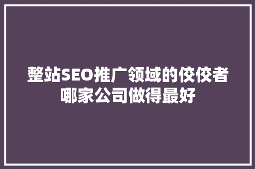 整站SEO推广领域的佼佼者哪家公司做得最好