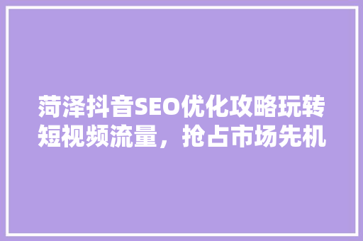 菏泽抖音SEO优化攻略玩转短视频流量，抢占市场先机