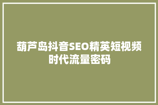 葫芦岛抖音SEO精英短视频时代流量密码  第1张