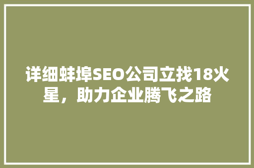 详细蚌埠SEO公司立找18火星，助力企业腾飞之路