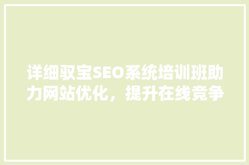 详细驭宝SEO系统培训班助力网站优化，提升在线竞争力
