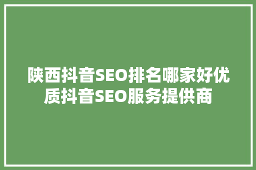 陕西抖音SEO排名哪家好优质抖音SEO服务提供商