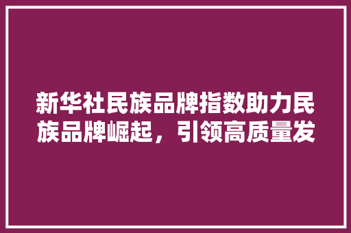 新华社民族品牌指数助力民族品牌崛起，引领高质量发展新篇章