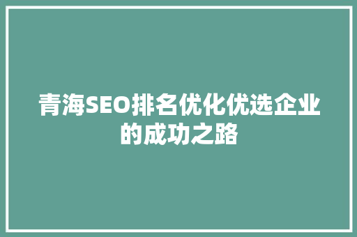 青海SEO排名优化优选企业的成功之路