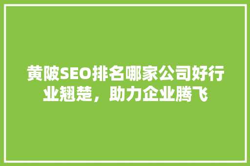 黄陂SEO排名哪家公司好行业翘楚，助力企业腾飞