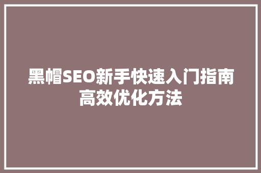 黑帽SEO新手快速入门指南高效优化方法