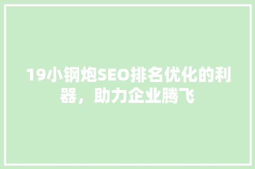 19小钢炮SEO排名优化的利器，助力企业腾飞
