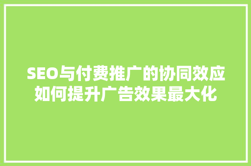 SEO与付费推广的协同效应如何提升广告效果最大化