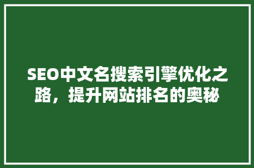 SEO中文名搜索引擎优化之路，提升网站排名的奥秘