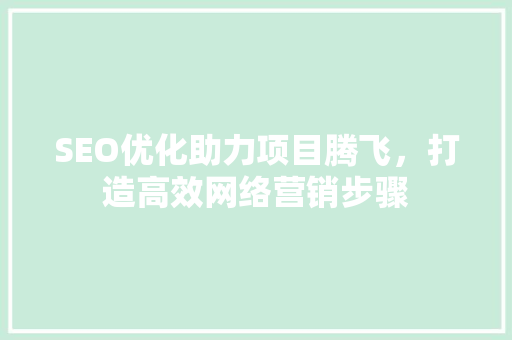 SEO优化助力项目腾飞，打造高效网络营销步骤