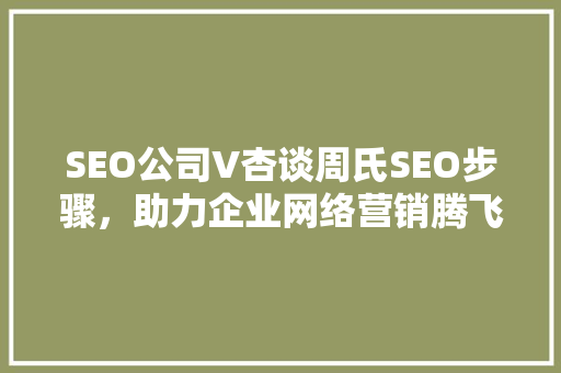 SEO公司V杏谈周氏SEO步骤，助力企业网络营销腾飞