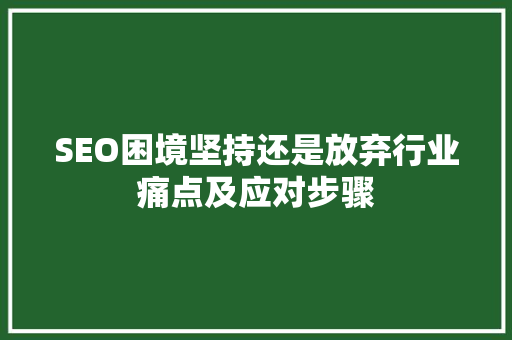 SEO困境坚持还是放弃行业痛点及应对步骤