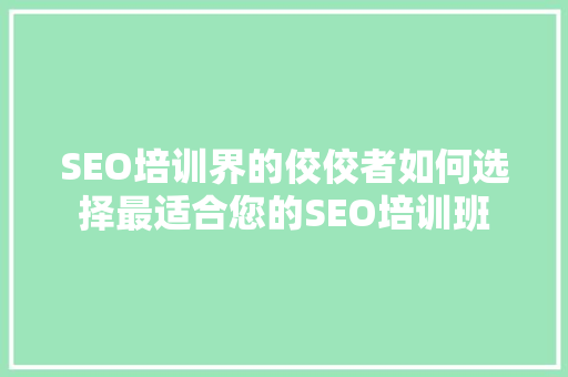 SEO培训界的佼佼者如何选择最适合您的SEO培训班  第1张