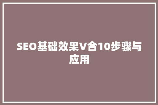 SEO基础效果V合10步骤与应用