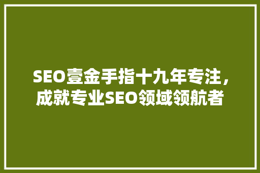 SEO壹金手指十九年专注，成就专业SEO领域领航者