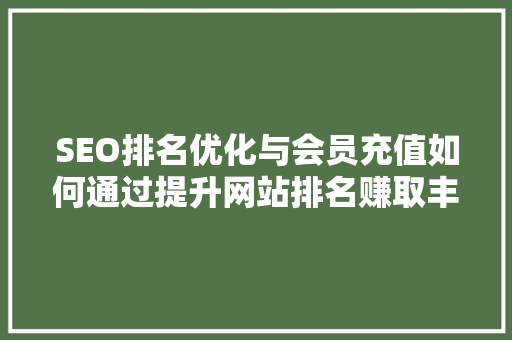 SEO排名优化与会员充值如何通过提升网站排名赚取丰厚的会员收益  第1张
