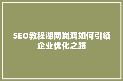 SEO教程湖南岚鸿如何引领企业优化之路
