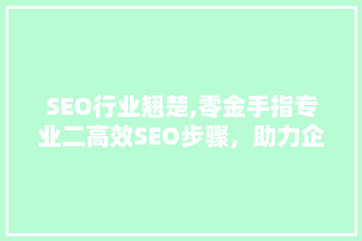 SEO行业翘楚,零金手指专业二高效SEO步骤，助力企业腾飞