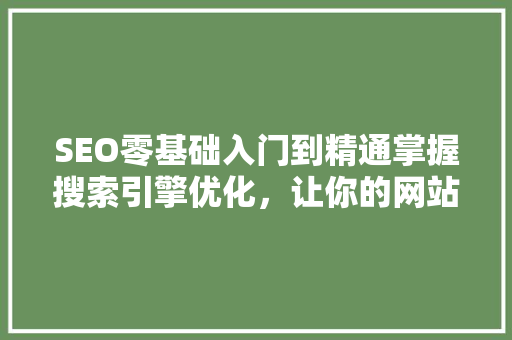 SEO零基础入门到精通掌握搜索引擎优化，让你的网站脱颖而出