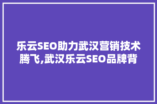 乐云SEO助力武汉营销技术腾飞,武汉乐云SEO品牌背后的秘密