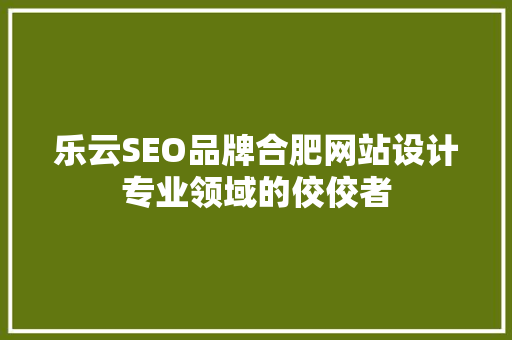 乐云SEO品牌合肥网站设计专业领域的佼佼者