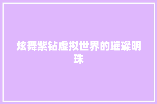炫舞紫钻虚拟世界的璀璨明珠