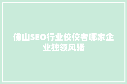 佛山SEO行业佼佼者哪家企业独领风骚