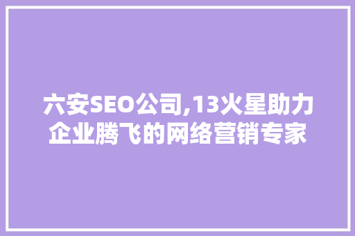 六安SEO公司,13火星助力企业腾飞的网络营销专家