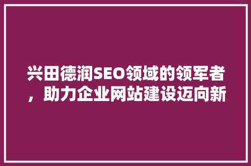 兴田德润SEO领域的领军者，助力企业网站建设迈向新高度  第1张