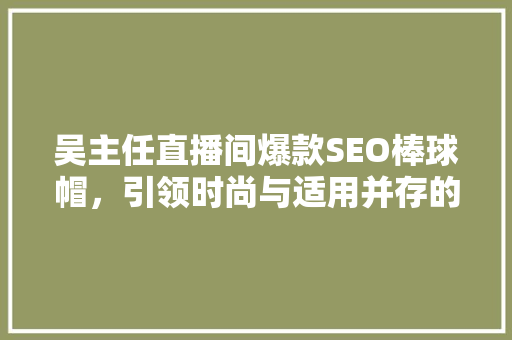 吴主任直播间爆款SEO棒球帽，引领时尚与适用并存的风潮