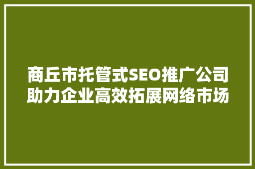 商丘市托管式SEO推广公司助力企业高效拓展网络市场  第1张