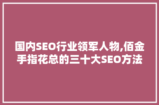 国内SEO行业领军人物,佰金手指花总的三十大SEO方法