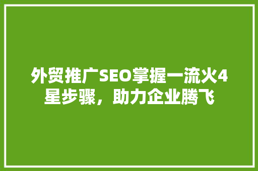 外贸推广SEO掌握一流火4星步骤，助力企业腾飞