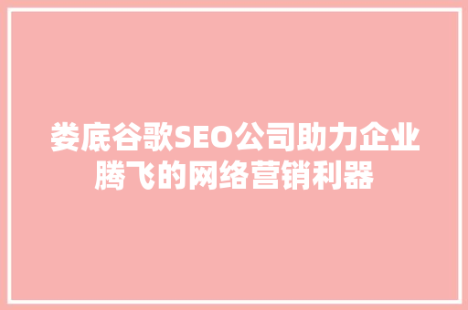 娄底谷歌SEO公司助力企业腾飞的网络营销利器