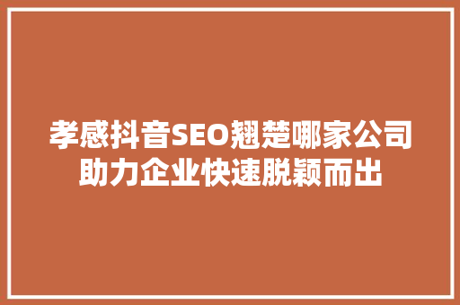 孝感抖音SEO翘楚哪家公司助力企业快速脱颖而出