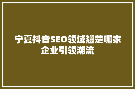 宁夏抖音SEO领域翘楚哪家企业引领潮流