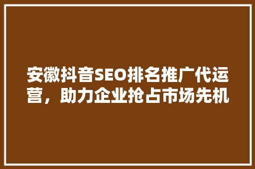 安徽抖音SEO排名推广代运营，助力企业抢占市场先机