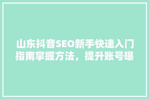 山东抖音SEO新手快速入门指南掌握方法，提升账号曝光率