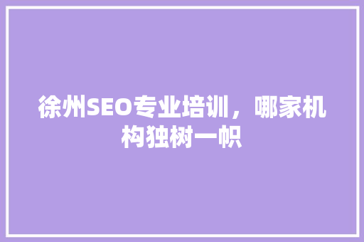 徐州SEO专业培训，哪家机构独树一帜