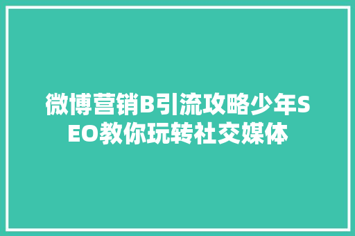 微博营销B引流攻略少年SEO教你玩转社交媒体  第1张