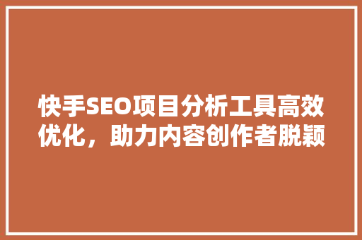 快手SEO项目分析工具高效优化，助力内容创作者脱颖而出
