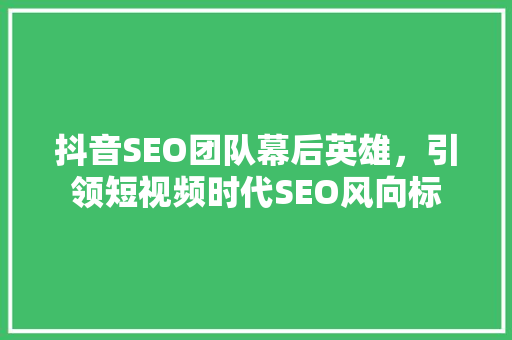 抖音SEO团队幕后英雄，引领短视频时代SEO风向标